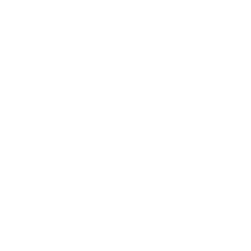 Ids 